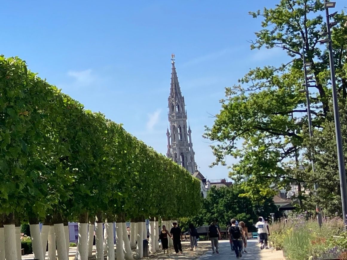 Bruxelles, allée d'arbres taillés menant vers l'hôtel de ville
